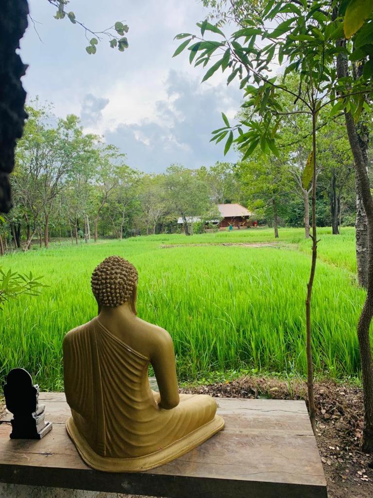 Sahana Retreat Buttala Exterior foto