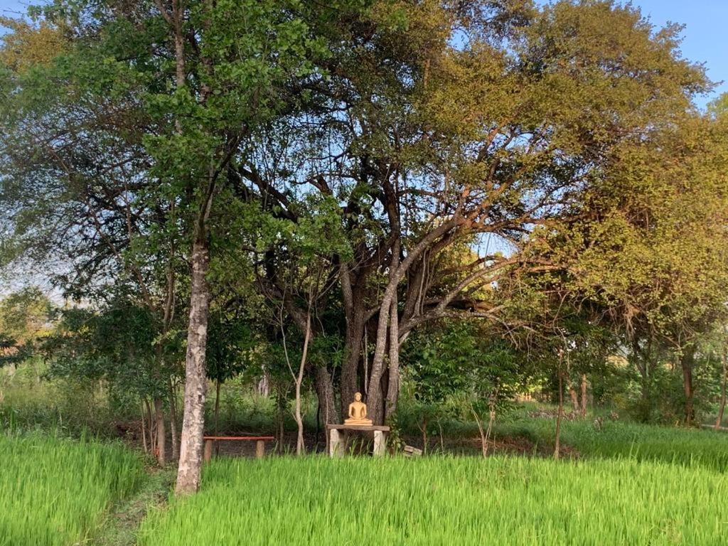 Sahana Retreat Buttala Exterior foto