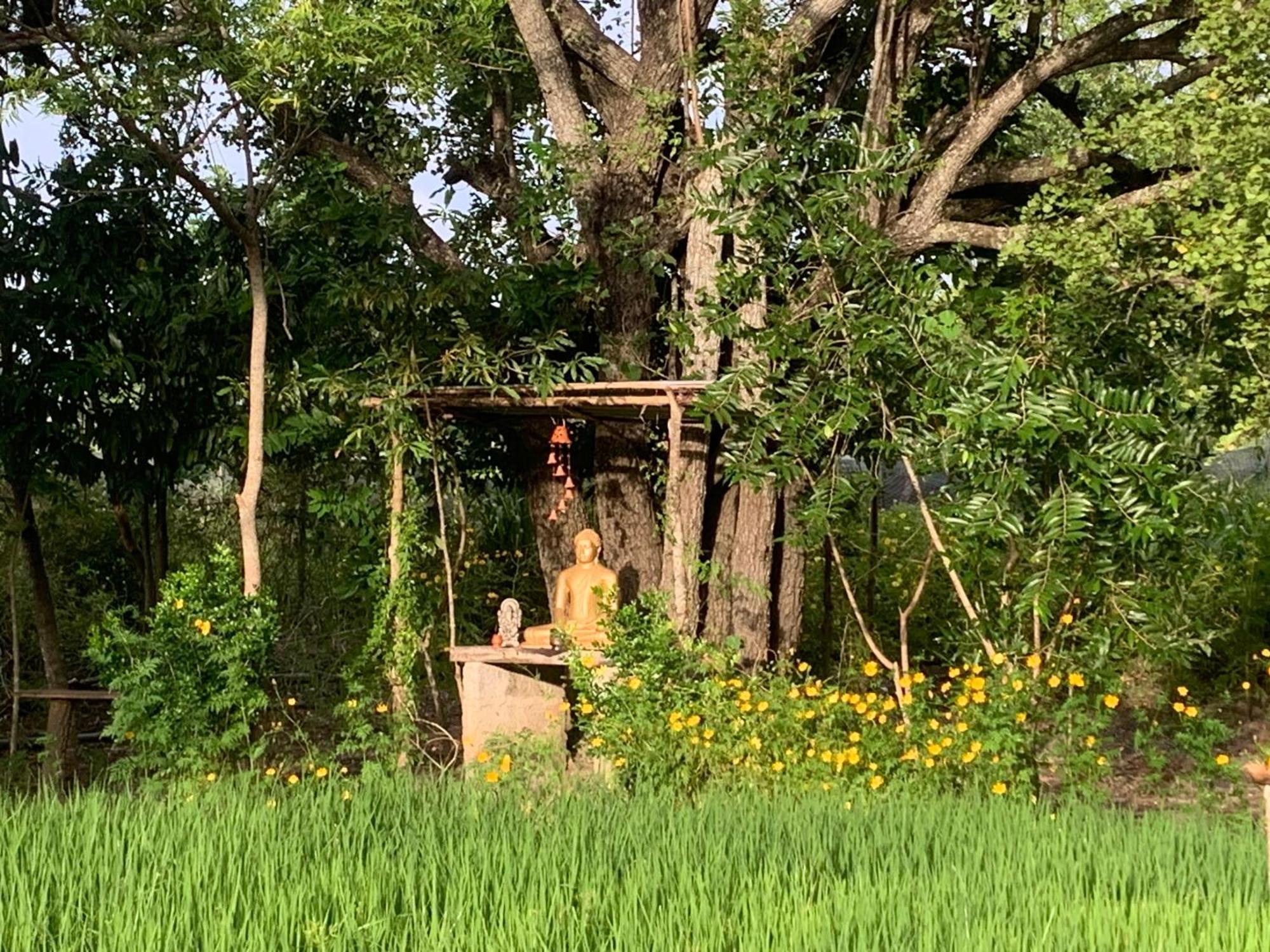 Sahana Retreat Buttala Exterior foto