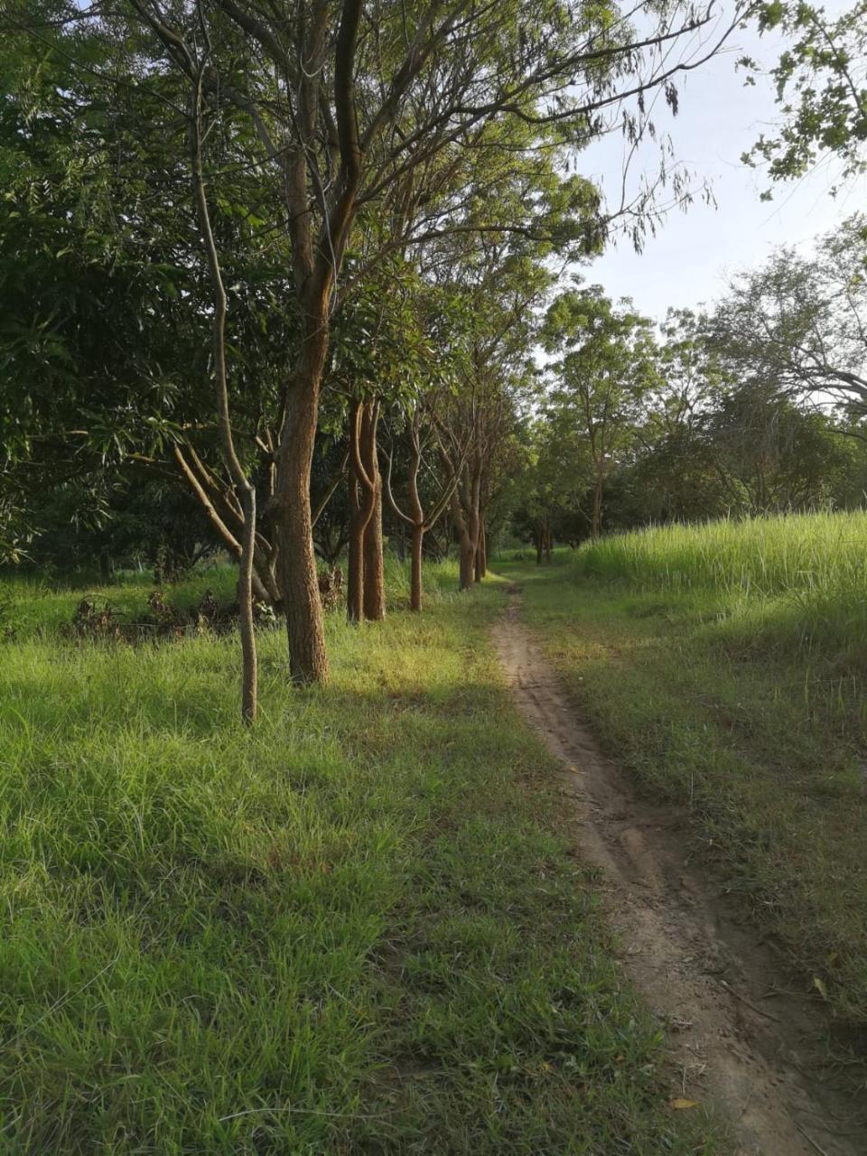 Sahana Retreat Buttala Exterior foto
